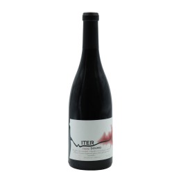 Iter Red 2021