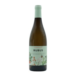 Rubus White 2025