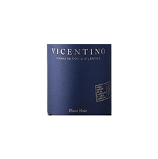 Vicentino Pinot Noir Red 2019
