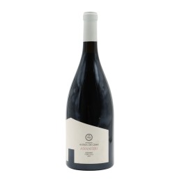 Magnum Herdade Aldeia de Cima Alyantiju Red 2017