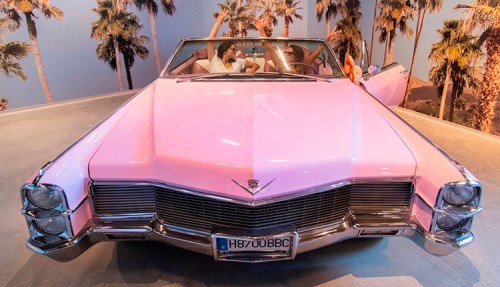 Visita ao museu Pink Palace para adulto