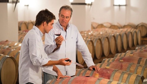 Dégustation de réserves, dégustation de 6 vins premium et collations traditionnelles