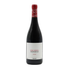 Escadas Infinitas Red 2023