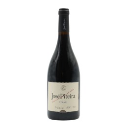 José Piteira Syrah Rot 2023