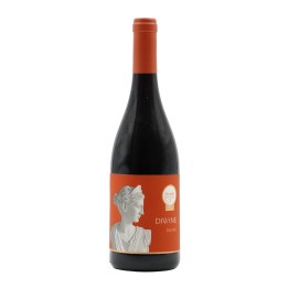 Bulas Diwine Red 2024