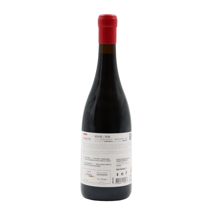 Mainova Red 2023