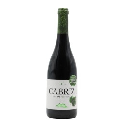Quinta de Cabriz Biologic Rot 2019
