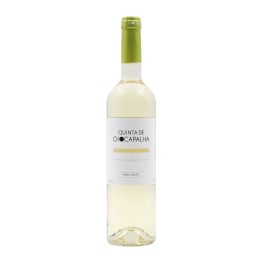 Chocapalha White 2023
