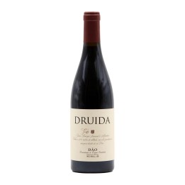 Druida Rosso 2021