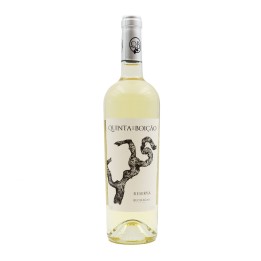 Quinta do Boição Reserve White 2021