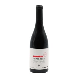 Isabella a Proibida by António Maçanita Tinto 2017
