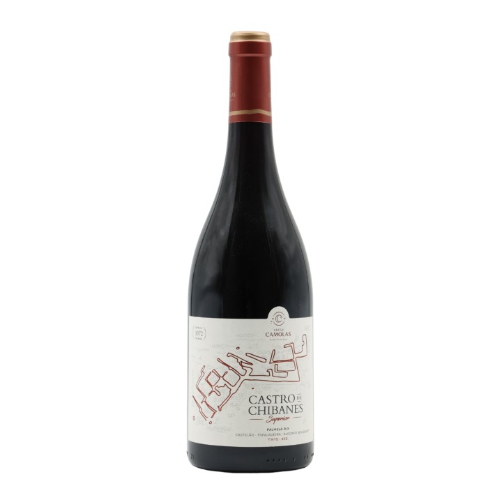 Castro Chibanes Superior Tinto 2020