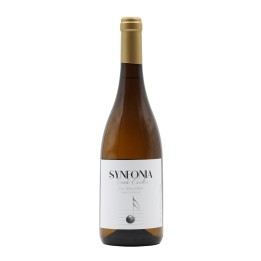 Synfonia Grand Selection Síria White 2021