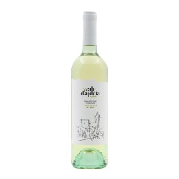 Quinta Vale D´Aldeia Sauvignon Blanc Bianco 2021