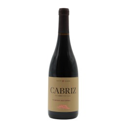 Quinta de Cabriz Touriga Nacional Red 2022
