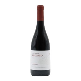 Terras de Santo António Rosso 2020