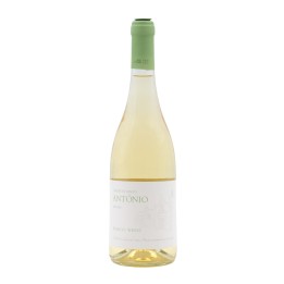 Terras de Santo António Bianco 2021