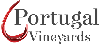 Portugal Vineyards