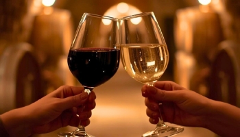 Discover the Douro through affordable wines