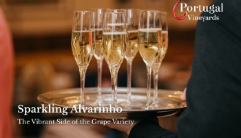 Sparkling Alvarinho — The Vibrant Side of the Grape Variety