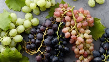 Five Portuguese Grape Varieties to Discover This Summer