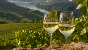 High-Altitude Whites: Freshness Born Closer to the Sky