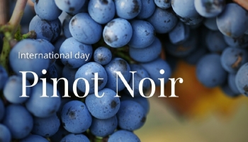 International Pinot Noir Day: Elegance with a Portuguese Touch