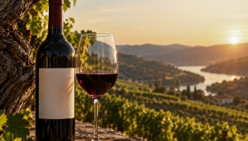 Old Vines, Surprising Prices