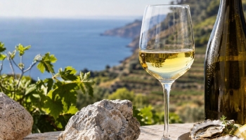 What Does It Mean When a Wine Is Described as Mineral?