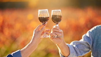 20 Affordable Wines for Autumn