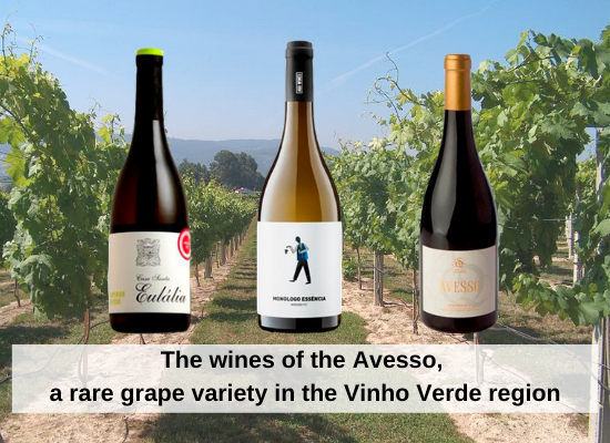 The wines of the Avesso, a rare grape variety in the Vinho Verde region