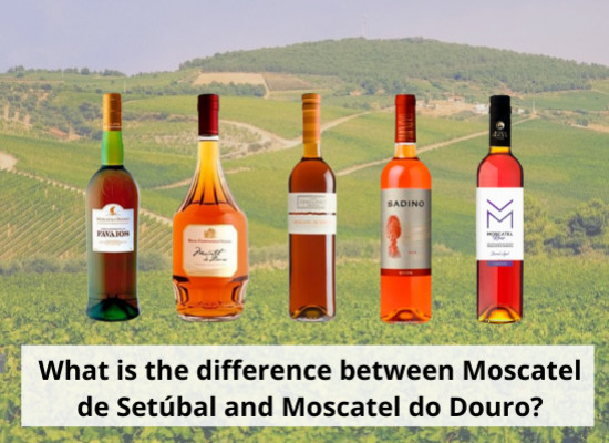 Was ist der Unterschied zwischen Moscatel de Setúbal und Moscatel do Douro?