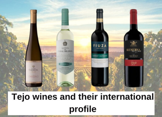 Tejo wines and their international profile