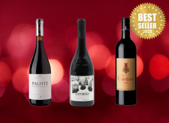 BEST-SELLERS 2023: Los vinos Premium favoritos de nuestros clientes