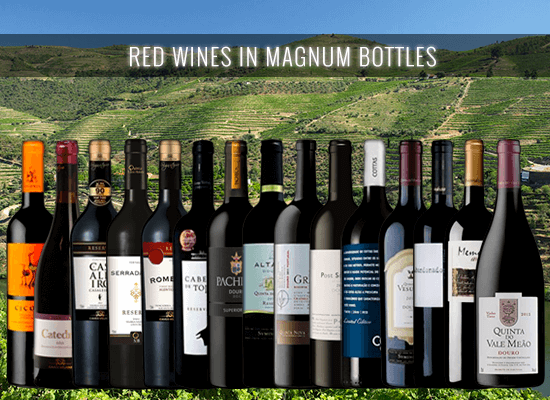 A selection of red wines in magnum bottles. The trendiest way to present a wine in a special occasion