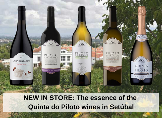 NOUVEAU EN MAGASIN: L'essence des vins Quinta do Piloto à Setúbal