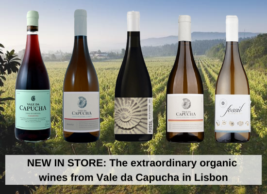 NEW IN STORE: The extraordinary organic wines from Vale da Capucha in Lisbon