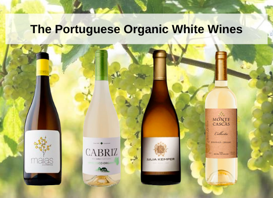 I vini bianchi biologici portoghesi
