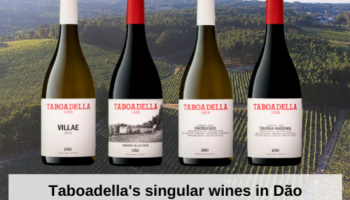 Les vins singuliers de Taboadella à Dão