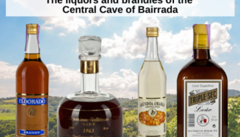 Les liqueurs et eaux-de-vie de la grotte centrale de Bairrada