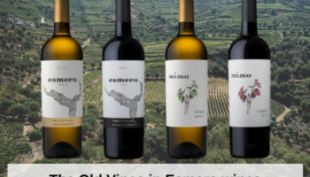 The Old Vines in Esmero wines