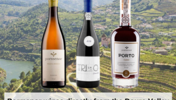 Vini Pormenor direttamente dalla Valle del Douro