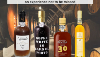 Aged White Ports: an experience not to be missed