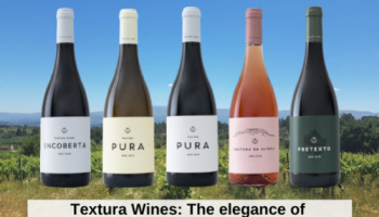Textura Wines: A elegância da Serra da Estrela
