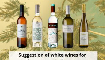 Suggestion of white wines for summer up to 7 euros