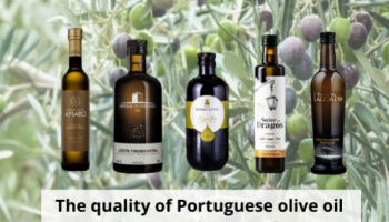 La qualità dell'olio d'oliva portoghese da nord a sud
