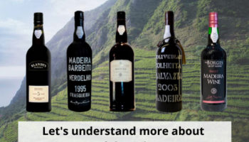 Comprenons plus sur les vins de Madeira