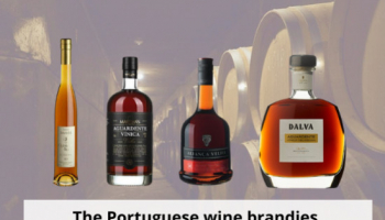 The Portuguese wine brandies