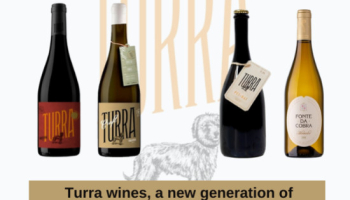 Turra wines, a new generation of Vinho Verde