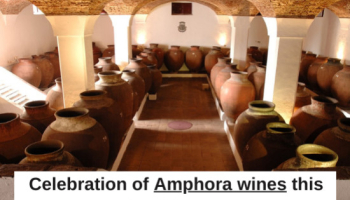 Celebración de los vinos Amphora este fin de semana en Alentejo